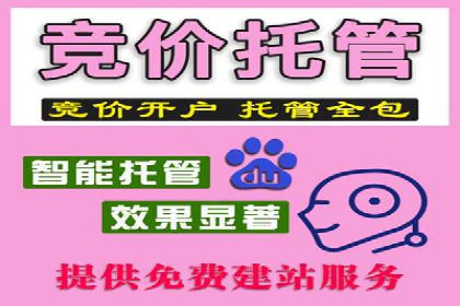 某行业巨头如何利用百度推广获客